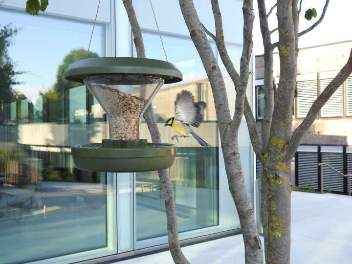 SWISSINNO Vogel-Futtersilo Davos